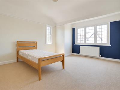 Picture 28